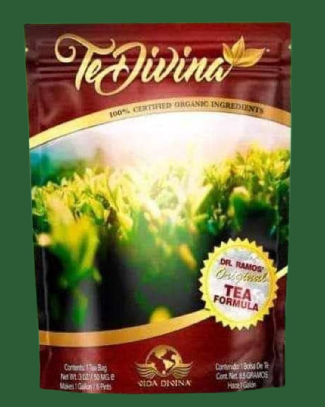 1 SEMANA DE TE DIVINA