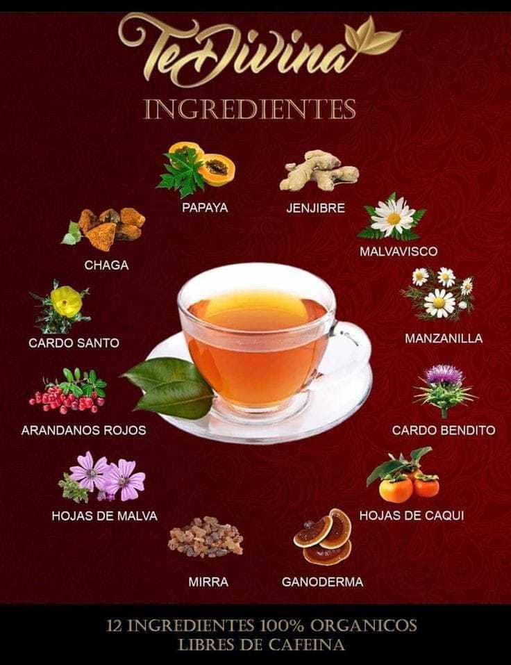 1 SEMANA DE TE DIVINA